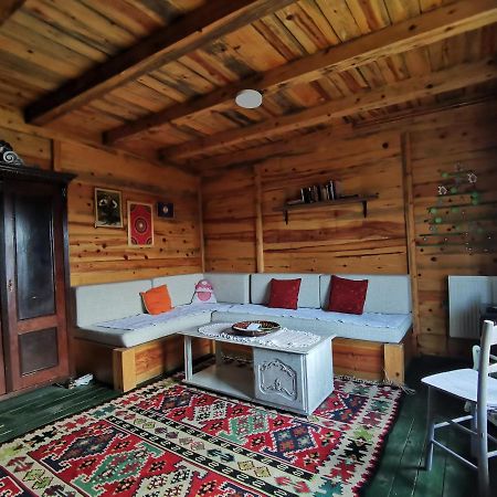 北里诺索卡斯度假屋 Užice 外观 照片