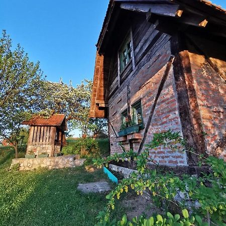 北里诺索卡斯度假屋 Užice 外观 照片