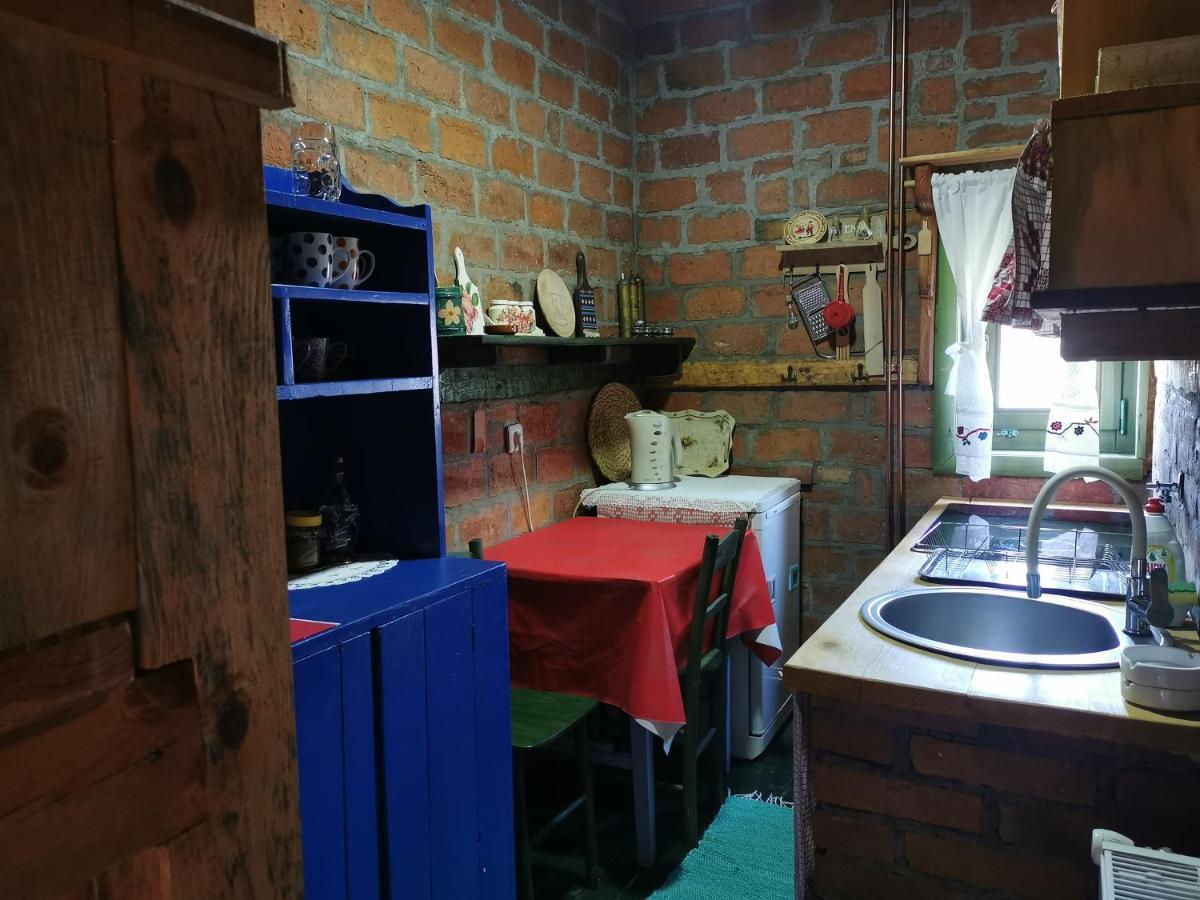 北里诺索卡斯度假屋 Užice 外观 照片