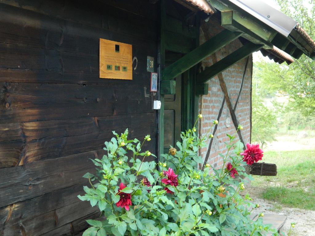 北里诺索卡斯度假屋 Užice 外观 照片