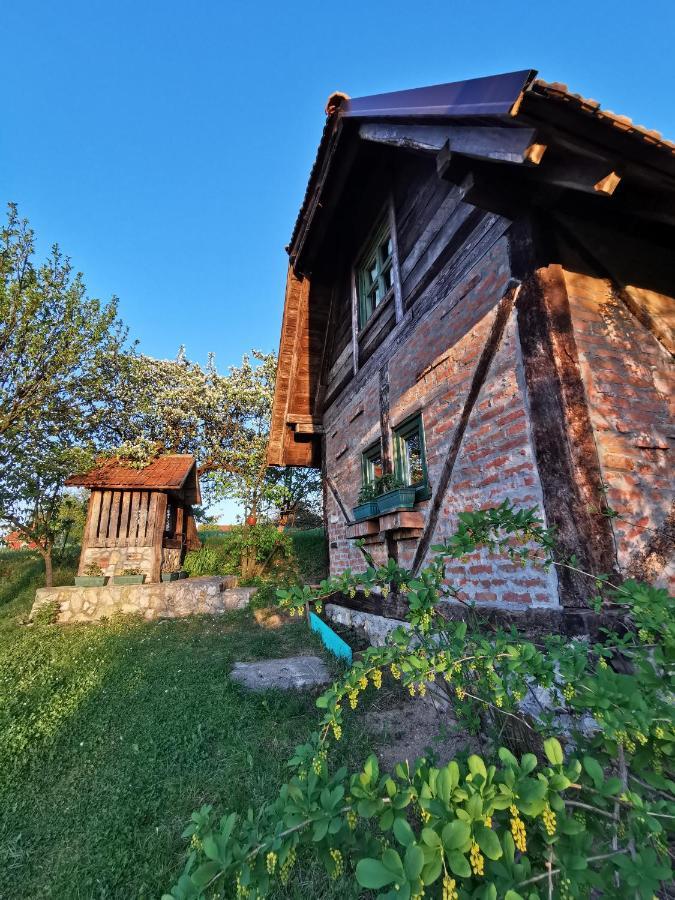 北里诺索卡斯度假屋 Užice 外观 照片