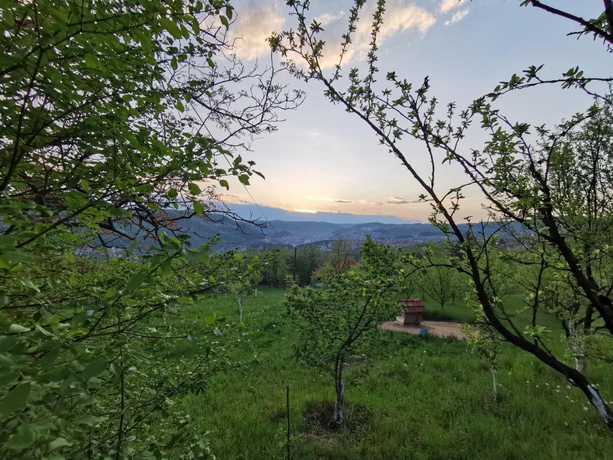 北里诺索卡斯度假屋 Užice 外观 照片