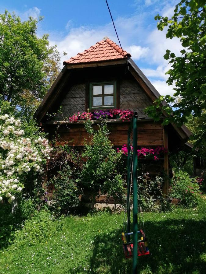 北里诺索卡斯度假屋 Užice 外观 照片